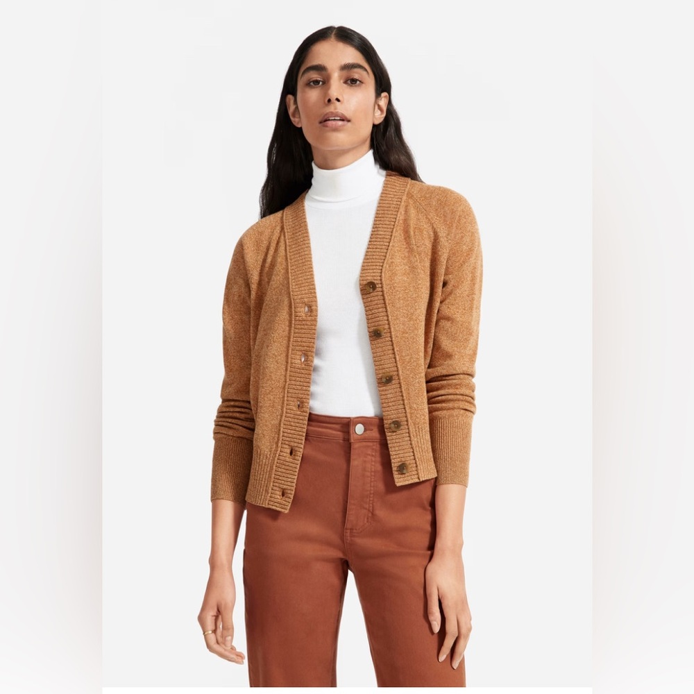 Everlane Recashmere Varsity Cardigan in Spiced Chai